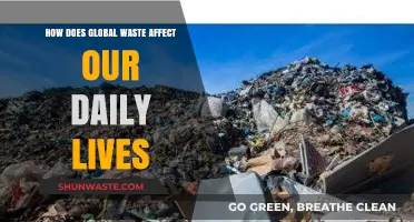 Global Waste Crisis: How It Shapes Our Daily Lives and Future