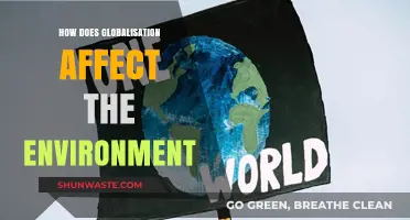 Globalization's Environmental Impact: Challenges, Consequences, and Sustainable Solutions
