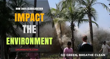 Globalization's Environmental Footprint: Challenges, Consequences, and Sustainable Solutions