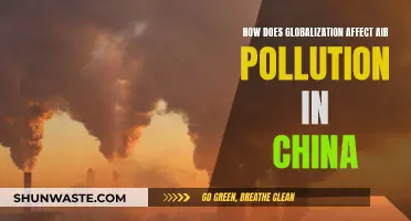 Globalization's Impact on China's Air Pollution