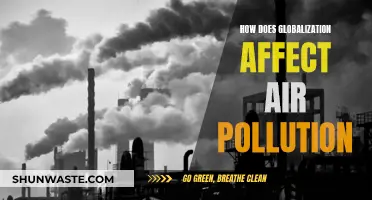 Globalization's Impact on Air Pollution: A Complex Relationship