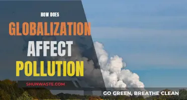 Globalization's Impact: Pollution's Reach and Rise