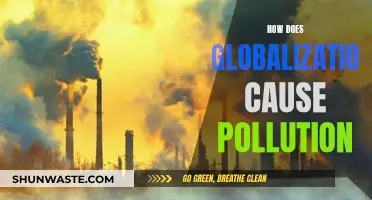 Global Reach, Local Impact: How Pollution Spreads