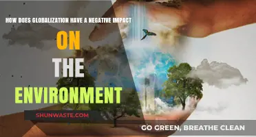 Globalization's Dark Side: Environmental Degradation and Unsustainable Practices