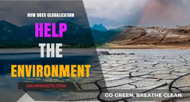 Globalization's Green Impact: Uniting Economies for a Sustainable Future