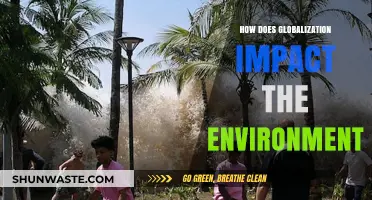 Globalization's Environmental Footprint: Challenges, Consequences, and Sustainable Solutions