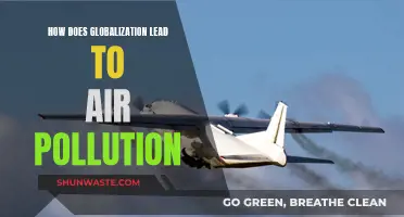 Globalization's Dark Side: Air Pollution's Rise