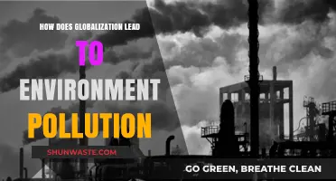 Globalization's Dark Side: Environmental Pollution