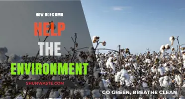 GMOs and Environmental Benefits: Sustainable Solutions for a Greener Future