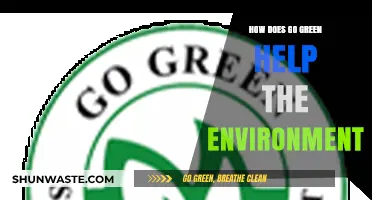 Going Green: Sustainable Practices to Protect and Preserve Our Environment