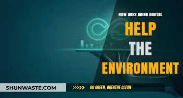 Digital Transformation: A Green Revolution for a Sustainable Future