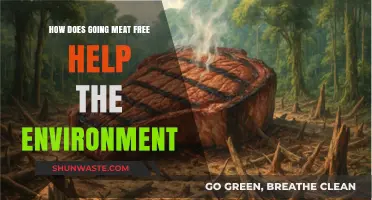 Going Meat-Free: A Powerful Step to Save Our Planet