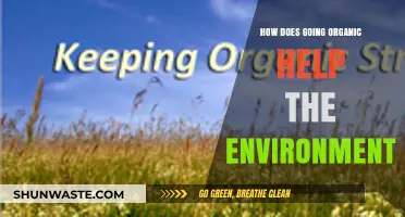 Organic Living: Nurturing a Healthier Planet Through Sustainable Choices