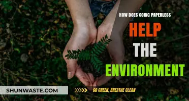 Going Paperless: A Sustainable Step to Save Our Environment