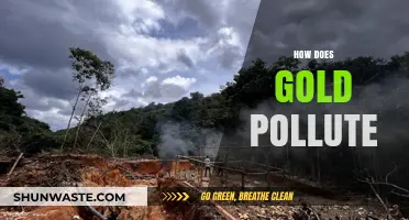 Gold's Dark Side: Environmental Impact of Mining