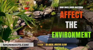 Beneficial Bacteria: Unlocking Environmental Balance and Ecosystem Health Naturally