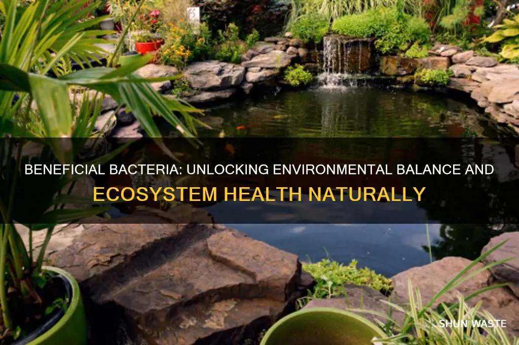 how does good bacteria affect the environment