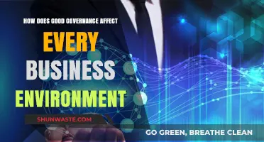 Good Governance: Transforming Business Environments for Sustainable Success