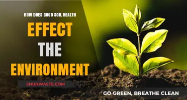 Healthy Soil, Healthy Planet: Environmental Benefits of Good Soil Health