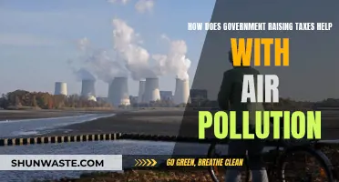 Green Tax: Reducing Air Pollution, Improving Public Health