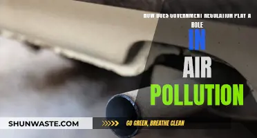 Air Pollution: Government Regulation's Impact