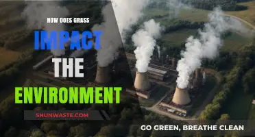 Grass's Environmental Impact: Benefits, Challenges, and Sustainable Practices Explained