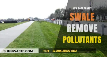 Grassy Swales: Natural Pollution Filters