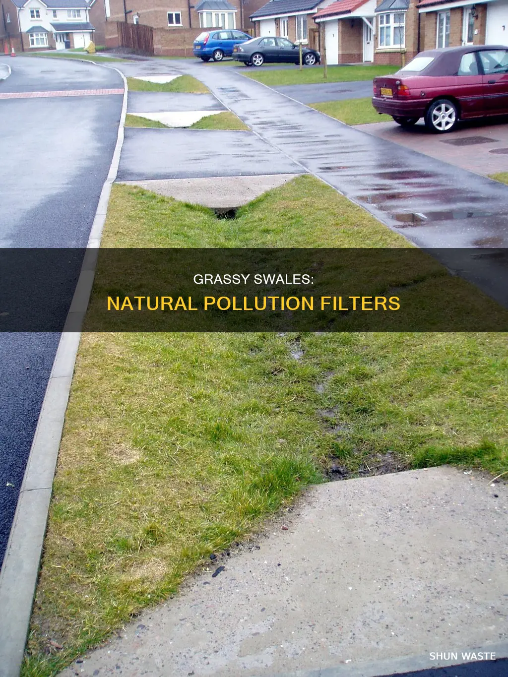 how does grassy swale remove pollutants