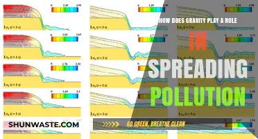 Gravity's Pull: Pollution's Unseen Spreader