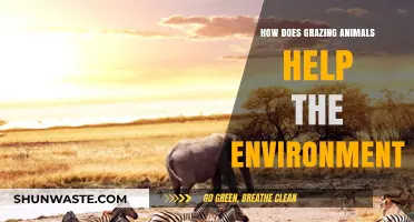 Grazing Animals: Boosting Biodiversity and Restoring Ecosystems Naturally
