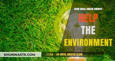 Green Energy's Impact: Protecting Our Planet and Preserving Ecosystems