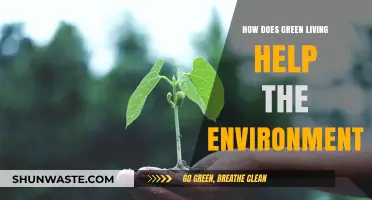 Sustainable Choices: How Green Living Protects Our Planet and Future