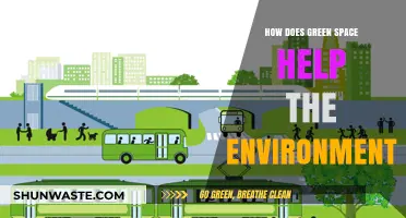 Green Spaces: Nature's Solution for a Healthier, Sustainable Environment