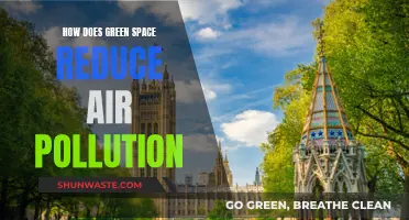 Green Space: Nature's Air Purifier