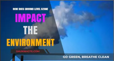 Ground-Level Ozone: Unveiling Its Environmental Impact and Consequences