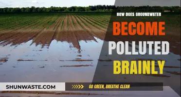 Groundwater Pollution: Sources and Prevention