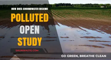 Groundwater Pollution: Understanding the Contamination Process