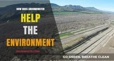 Groundwater's Vital Role: Sustaining Ecosystems and Supporting Environmental Balance