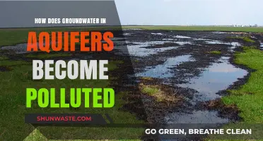 Groundwater Pollution: Aquifer Contamination Sources and Causes