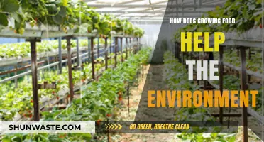 Growing Food Sustainably: Environmental Benefits and Eco-Friendly Practices