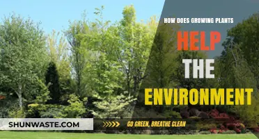 Growing Plants: A Powerful Tool for Environmental Restoration and Sustainability