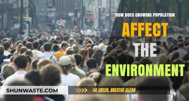 Population Growth's Impact: Environmental Challenges and Sustainable Solutions