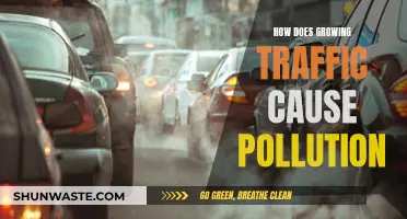 Traffic's Impact: From Congestion to Air Pollution