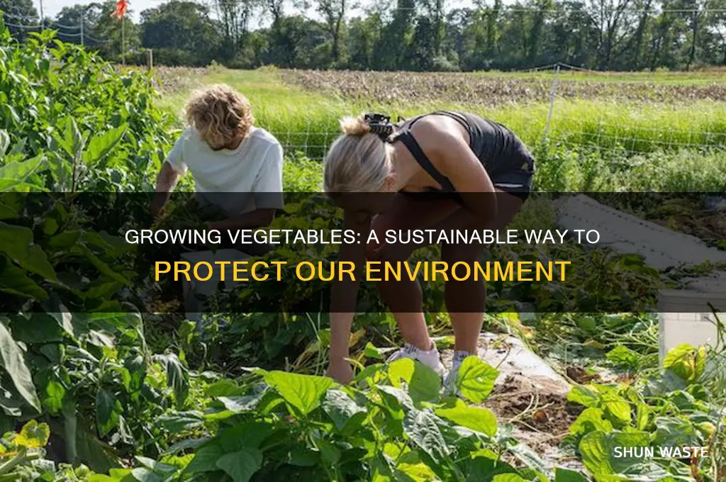 how does growing vegetables help the environment