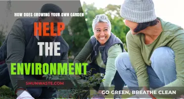 Sustainable Gardening: How Growing Your Own Food Benefits the Planet