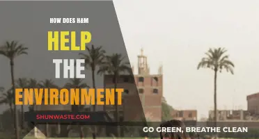 H&M's Eco-Friendly Initiatives: Sustainable Fashion for a Greener Future