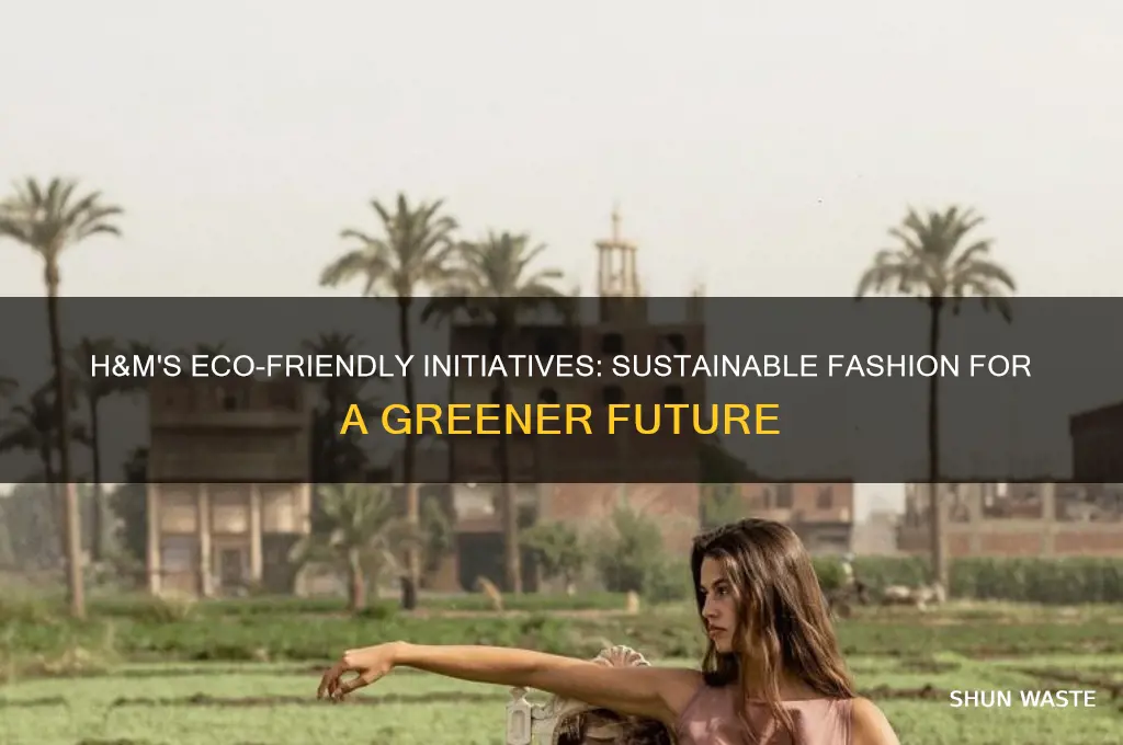how does h&m help the environment