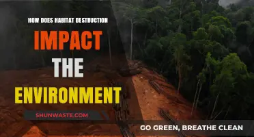 Habitat Destruction: Devastating Environmental Impacts and Urgent Conservation Needs