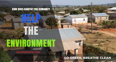 Habitat for Humanity's Green Impact: Building Sustainable Communities
