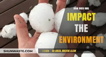 Hail's Environmental Impact: Effects on Ecosystems, Agriculture, and Climate